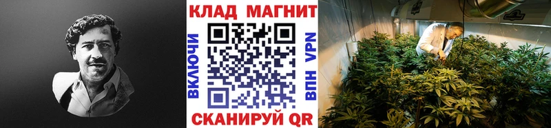 Наркошоп купить ЭКСТАЗИ  Канабис  КОКАИН  АМФЕТАМИН  МЕФ  Гашиш  Нижний Тагил