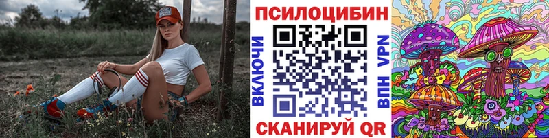 Галлюциногенные грибы ЛСД  Купить закладки  Нижний Тагил 