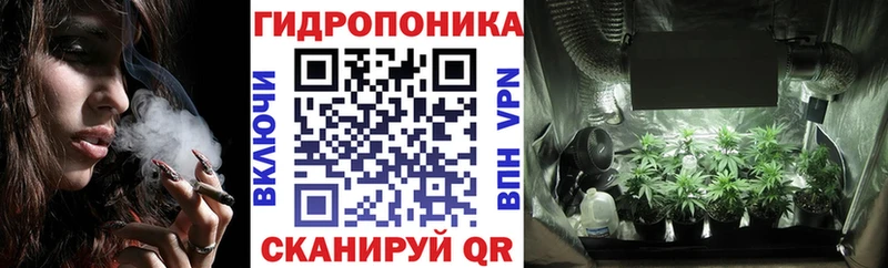 Шишки марихуана Amnesia  Купить закладки  Нижний Тагил 